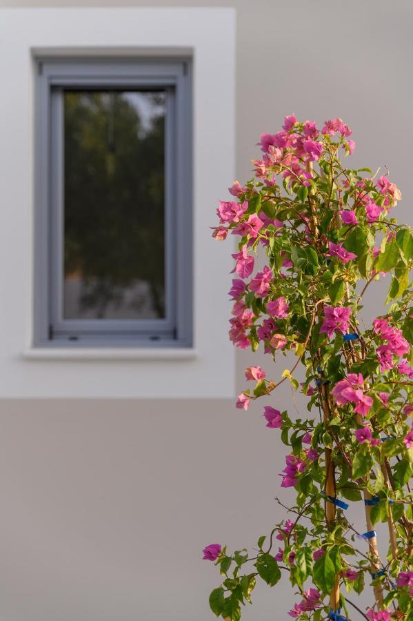 ליקסורי Dionisos Suites מראה חיצוני תמונה